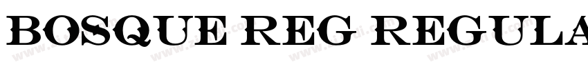 Bosque Reg Regular字体转换